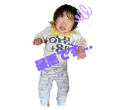 490833084