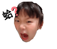 490849967