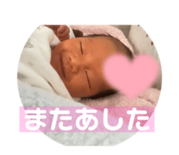 490850384