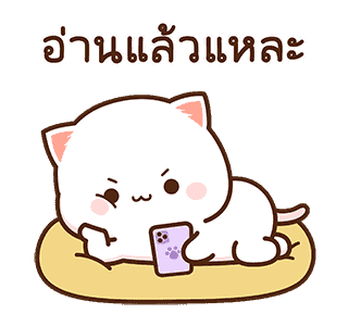 แมวเหมียวโมจิพีช และผองเพื่อน 3 รูปที่ 14