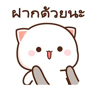 ลายที่ 47