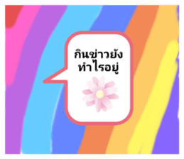 490880024