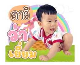 490881573