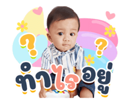 490881582