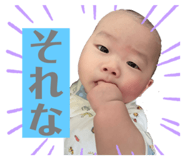 490915668