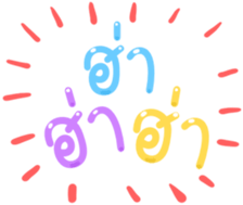 491047135