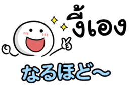 491057397