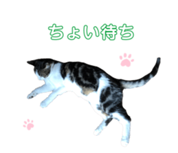 491060198