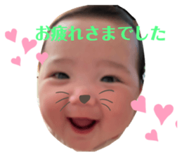 491060915