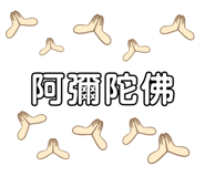 491085842