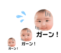 491110868
