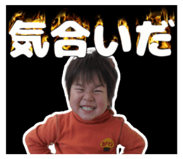 491111403