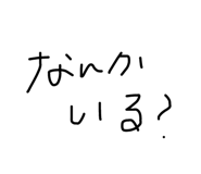 491141291