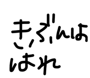 491141297