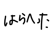 491141305