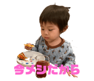 491149750
