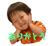 491149754