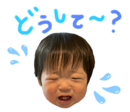 491158831