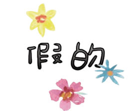 491311833