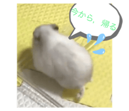 491334029