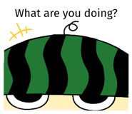491341855