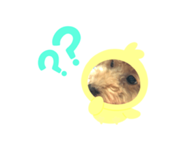 491349458