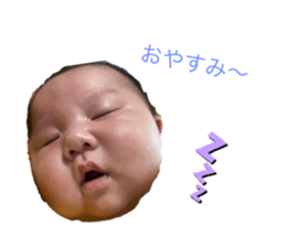 491355510