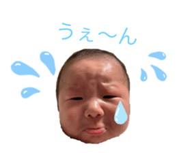 491355513