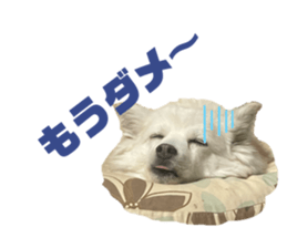 491364422