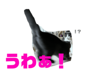 491366508