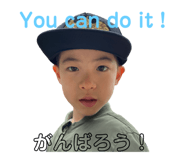 491367384