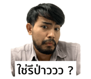 491398096