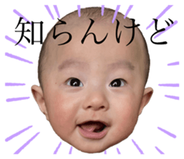 491427897