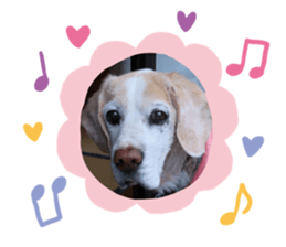 491428350