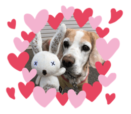 491428351