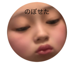 491431084