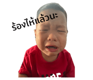 491431736