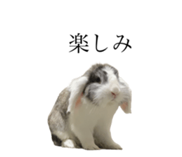 491437829