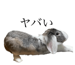 491437839