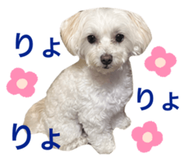 491602931
