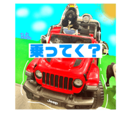 491604128