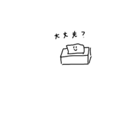 491605780