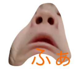 491614240