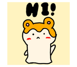 491696728