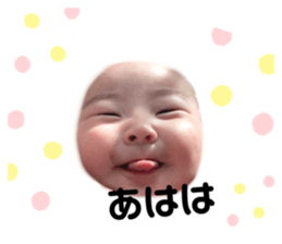 491697959
