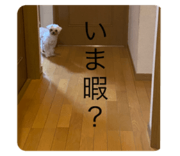 491698703