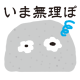 491729404