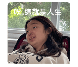 491757807