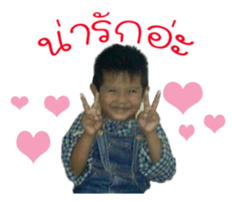 49177267