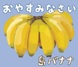 491804503